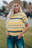 Multicolor Stripes Crew Neck T Shirt