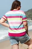 Rose Stripe Plus Size Textured Knit Short Sleeve Henley Top