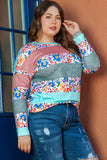 Pink Stripe Plus Size Colorblock Pullover Top